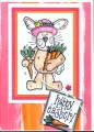 2006/02/11/Bunny_with_carrots_by_Linda_Palmer.JPG