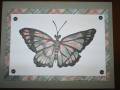 2006/02/11/phresh_and_phunky_butterfly_by_stampwithgwen.JPG