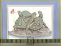 2006/02/16/turtles_by_Vicky_Gould.jpg