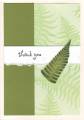 2006/03/16/Fern-Frond-Thank-You_by_rzarria.jpg