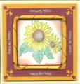 2006/05/03/Sunflower_Birthday_Card_by_cbet.jpg