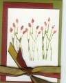 2006/07/01/Watercolor_Native_grass_card_by_meadow_girl.jpg