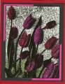tulips1_by