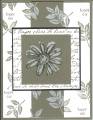 2006/07/19/Petal_Prints-2_by_All_About_Stampin.jpg