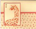 Baby_Giraf