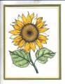2006/11/06/Sunflower_card_by_tacangel1745.jpg