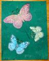 2006/11/11/butterfly_card_01_by_shelley_ginger.jpg