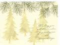 2006/11/21/winter_pines_by_backhome.jpg