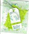 2007/02/01/baby_card_for_odles_by_shanjab.jpg
