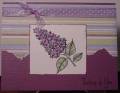 2007/02/22/Purple_shades_thinking_of_you_by_jeanstamping2.jpg