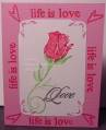 2007/03/05/Life_is_Love_Rose_by_jeanstamping2.jpg