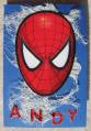 2007/03/15/20070306_Spiderman_card_1_by_Desert_Diana.JPG
