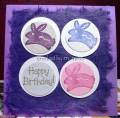 2007/03/18/Bunnies_Mulberry_Birthday_Square_by_Mahloumel.jpg
