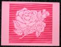 2007/05/04/Pink_and_Red_Rose_with_crimped_background_-_IMG_1584_by_TeeGeeDee.jpg