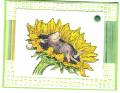 2007/05/08/Sunflower_Mouse_by_glicha60.jpg