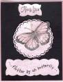 2007/05/28/black_and_pink_butterfly_by_june2.jpg
