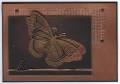 2007/07/24/Magenta_copper_butterfly_by_lotsofstamps.jpeg