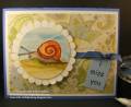 2007/08/08/miss_you_snail_by_Wasatch_Wizard.jpg