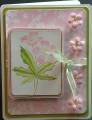 2007/08/23/Pink-Floral-Card-Made-8-22-2007_by_YorkieMoma.jpg