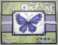 ButterflyI