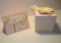 2007/10/24/baby_card_and_box_by_tkaiser.jpg