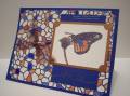 2008/01/11/CHF_stained_glass_bfly_hb_by_hbrown.jpg