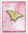 2008/01/24/swallowtail_card_1_sm_by_Laura_Hampton.jpg
