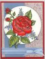 2008/03/01/IC117_WT155_Red_Roses_for_a_Blue_Lady_by_knoxville8625.JPG