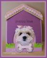 2008/03/31/daisy_in_the_doghouse_by_mytime.jpg