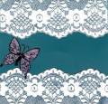 2008/04/13/Lace_glitter_border_butterfly_on_acetate_with_glitter0001_by_Karen_Wallace.jpg