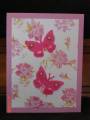 2008/04/16/pink_vellum_butterfly_Aunt_Sis_by_Brat_Cards.JPG