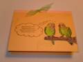 2008/05/07/Parrots_by_Virtue.jpg