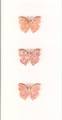 2008/05/27/Punched_out_butterfly_card_001_by_meadow_girl.jpg