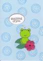 2008/06/02/Lily_pad_by_berry_nice_cards.jpg