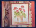 2008/06/04/Ruby-Red-Geraniums1reduced_by_Rachel_Stamps.jpg
