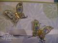 2008/06/05/Close_up_on_Butterflies_by_jeanstamping2.jpg