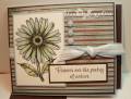 2008/06/16/Daisy_poetry_2008-79_by_Shannon13.jpg