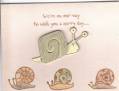 2008/06/23/snails_for_snail_mail_by_june2.jpg