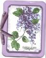 2008/06/30/picture_Lilac_Card_by_debbyb16.jpg