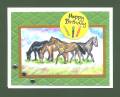 2008/07/07/Birthday_horse_card_001_by_trackscrapper.jpg