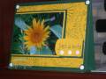 2008/07/13/Sunflower_Picture_Card_WM_by_cindy501.JPG