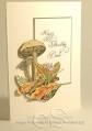 mushrooms_