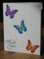 2008/08/08/Prismacolor_Butterflies_by_squirrellyshirley.jpg