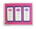 2008/08/17/3-carnations_by_kitchen_sink_stamps.jpg