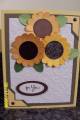 2008/08/17/Sunflowers_for_you_by_daysi1.jpg