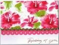 2008/08/18/Hibiscus_Thinking_of_You_by_she_s_crafty.jpg