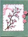 2008/09/15/Cherry_Blossoms_by_Stampin_Granny.jpg
