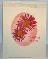 2008/09/22/Flowers-for-Daisy-9-22-08_by_Rachel_Stamps.jpg