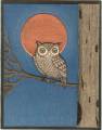 2008/09/28/WT185_Charming_Owl_by_knoxville8625.jpg
