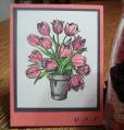 2008/10/12/PSX_Pink_Tulips_by_SusieQ4417.jpg